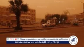 تحذير الأرصاد.. رياح قوية وموجة أتربة تتسبب في انخفاض مستوى الرؤية الأفقية